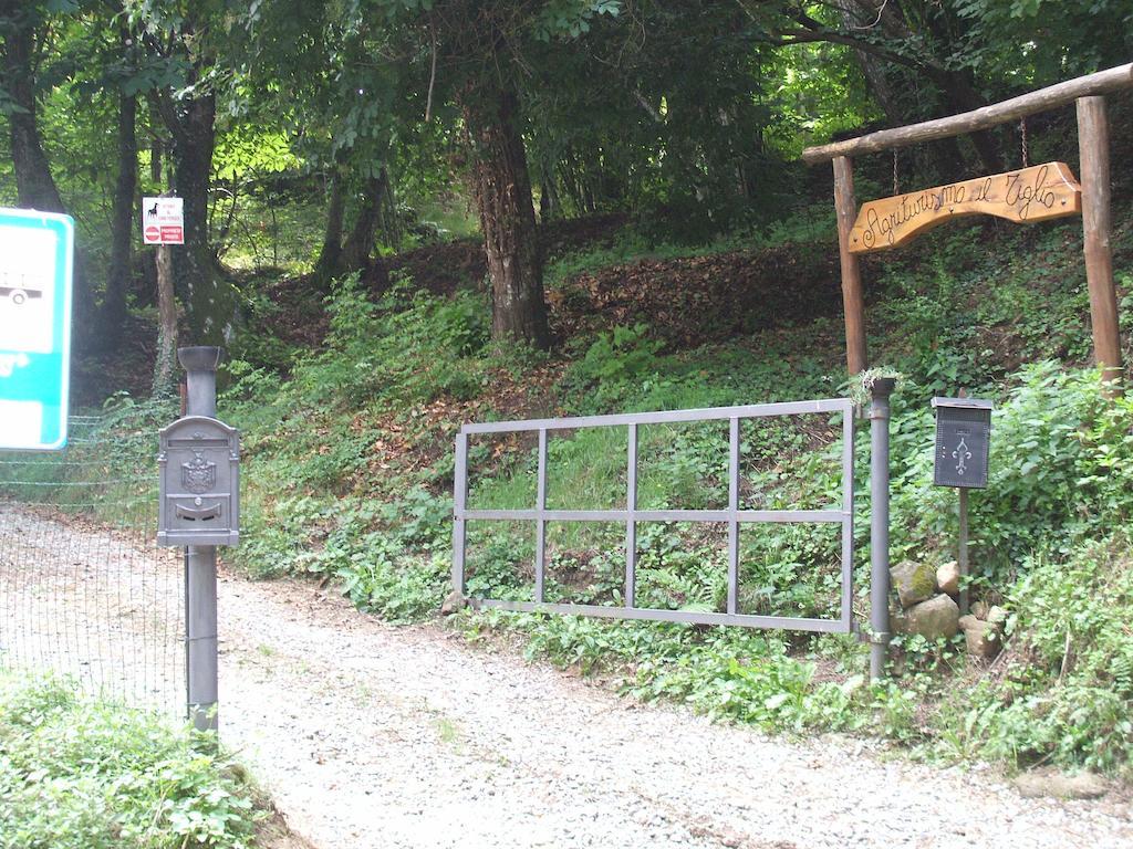 Agriturismo Il Tiglio Coreglia Antelminelli Exterior foto